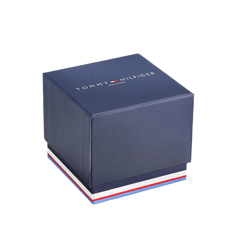 montre-homme-tommy-hilfiger-TH1710523-6