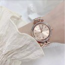 Montre femme michael kors mini darci mk3366